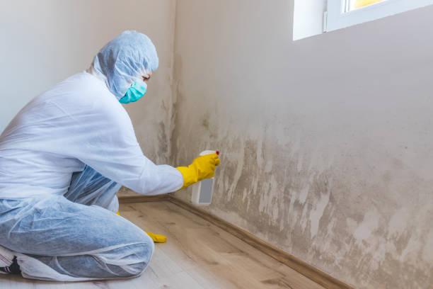 Asbestos and Lead Testing During Mold Inspection in Palm Springs North, FL