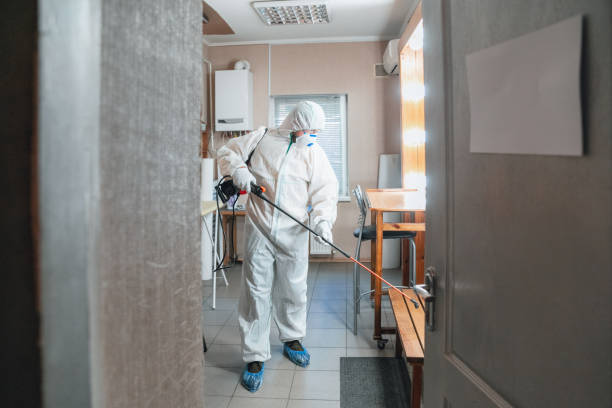 Trusted Palm Springs North, FL Mold Removal Experts