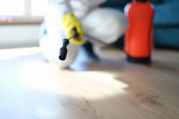 Best Biohazard Mold Removal  in Palm Springs North, FL